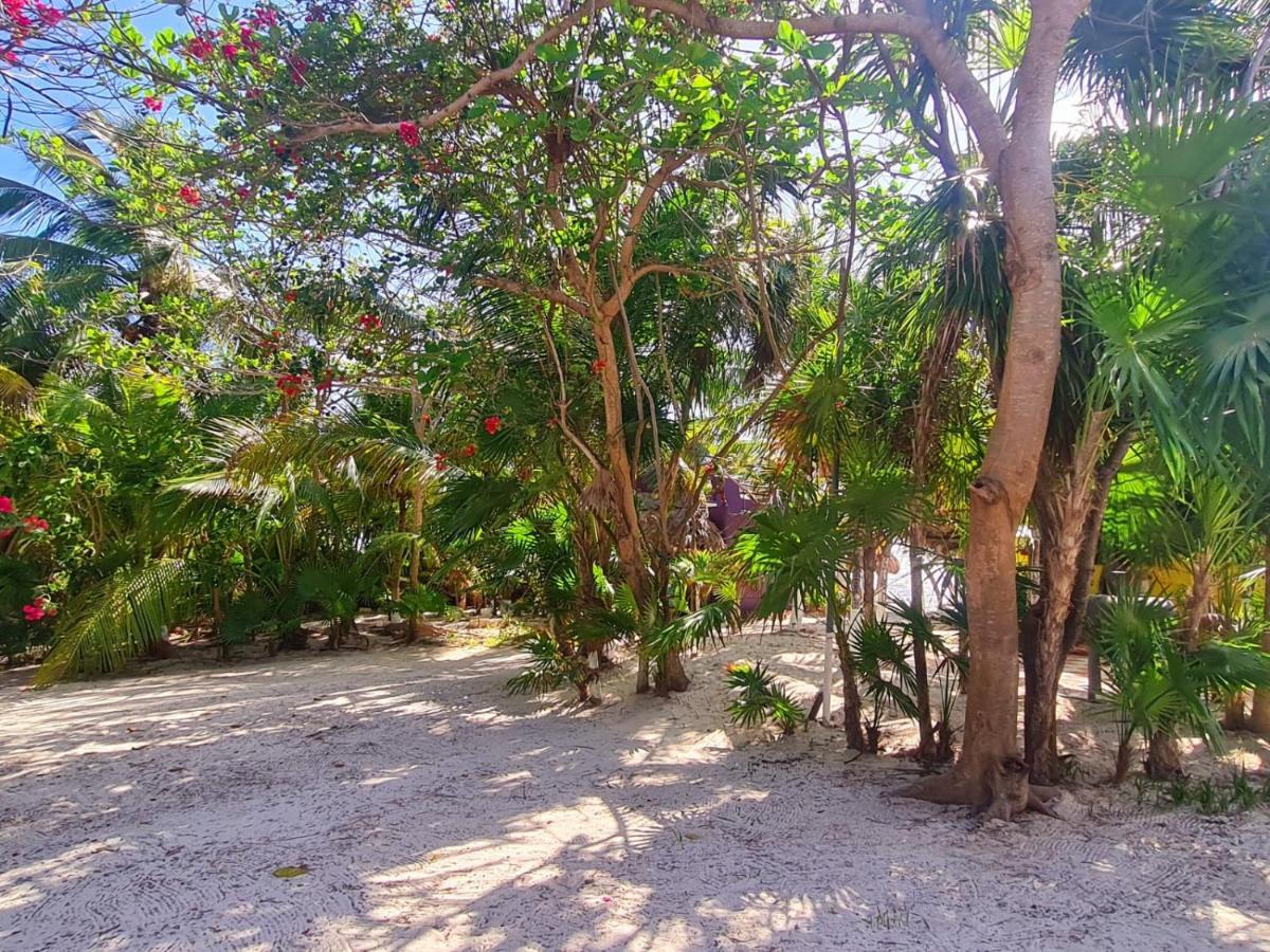 Hotel Maya Luna Adults Only Mahahual Exterior foto